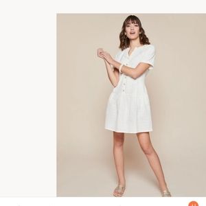 Spartina 449 daisy dress size med new with tags